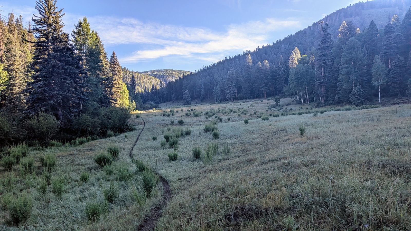 Cueva Field.